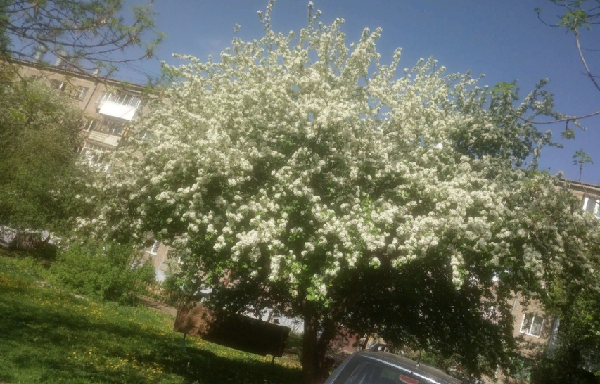 Было.