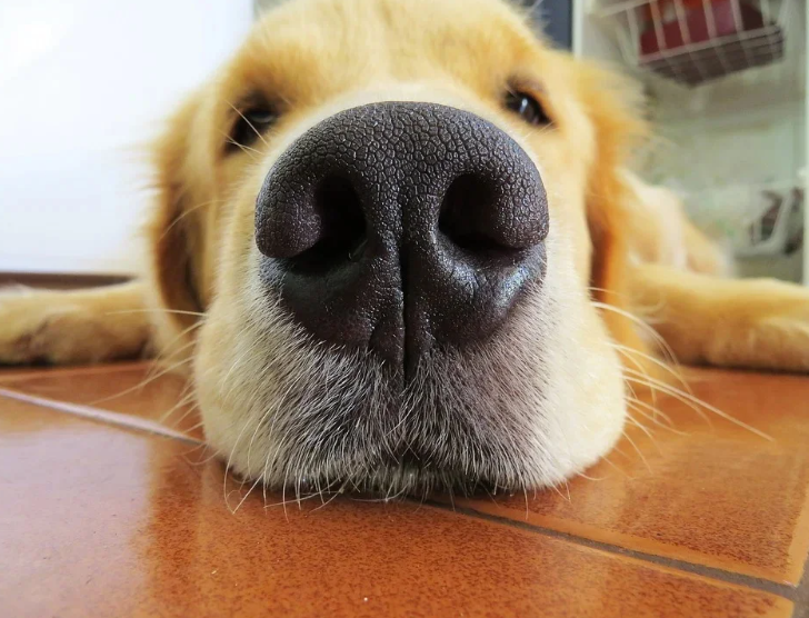 Редактировать галереюДобавьте описание