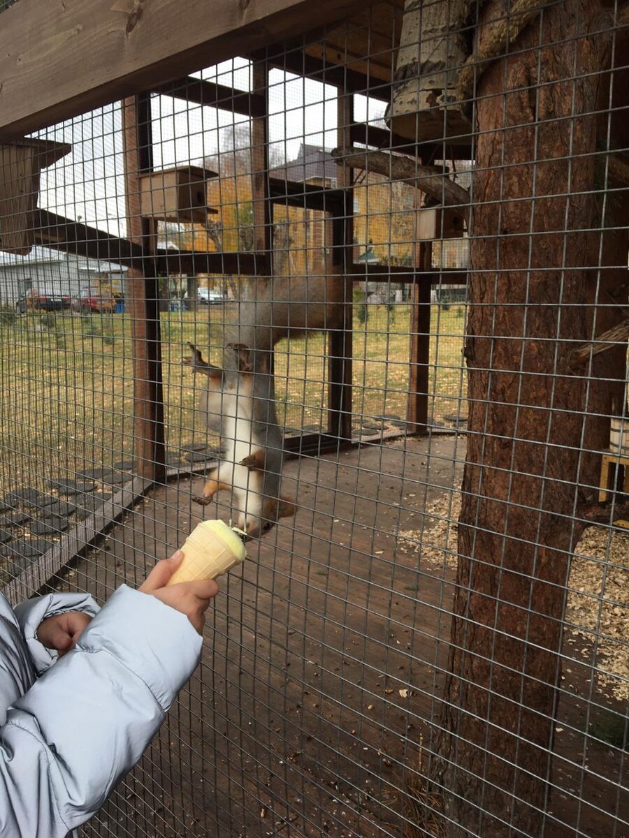 Предложили угоститься, а она не отказалась