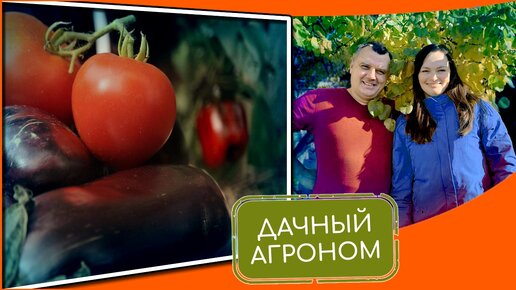 Огородников ждут перемены! Дачный агроном отвечает на вопросы подписчиков