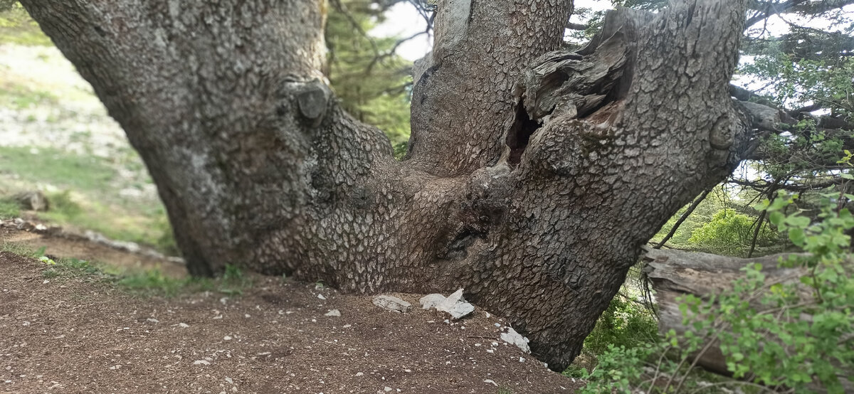 Редактировать галерею