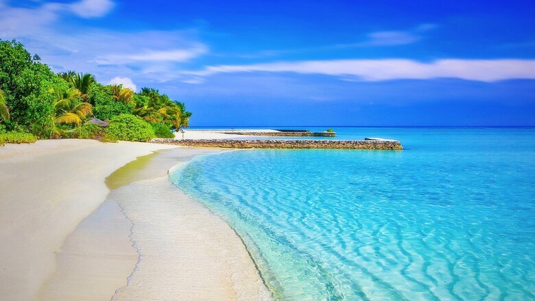 Фото: pixabay.com