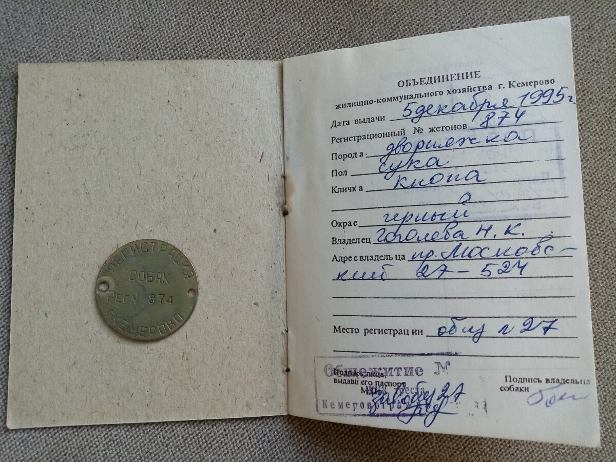 Сохранился у меня паспорт на Кнопу. Было время, когда в 90-х годах заставляли регистрировать всех собак по месту жительства. И нам пришлось. Адрес общаги указан, которую забрало государство. 