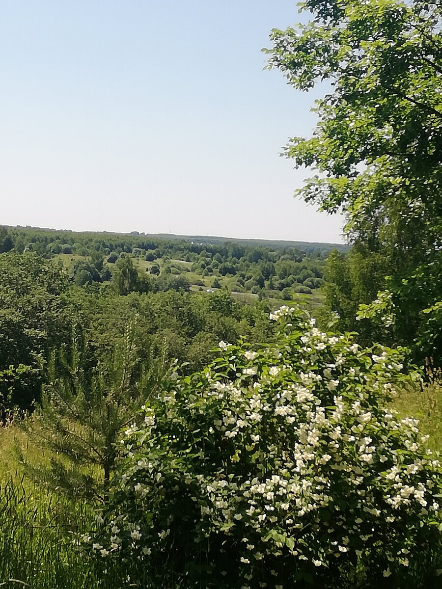 Запах лета.