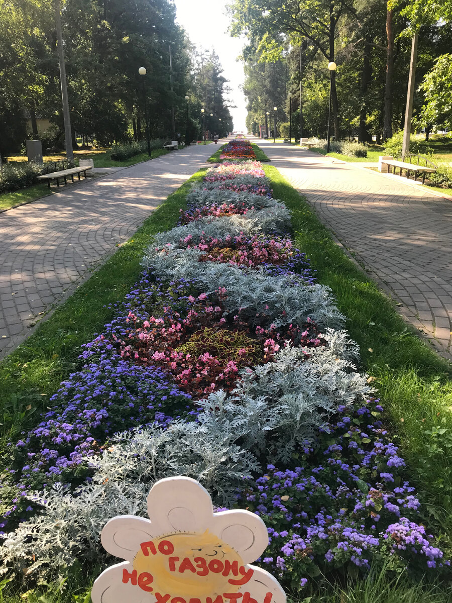 Каждая клумба со своим неповторимым узором