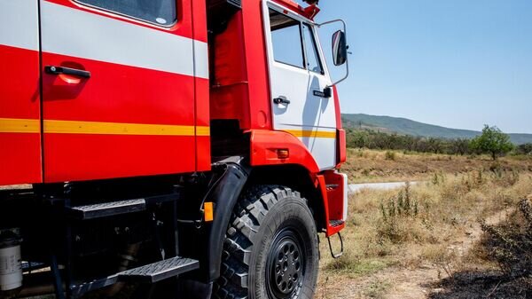   © Sputnik / Natalia Airiyan