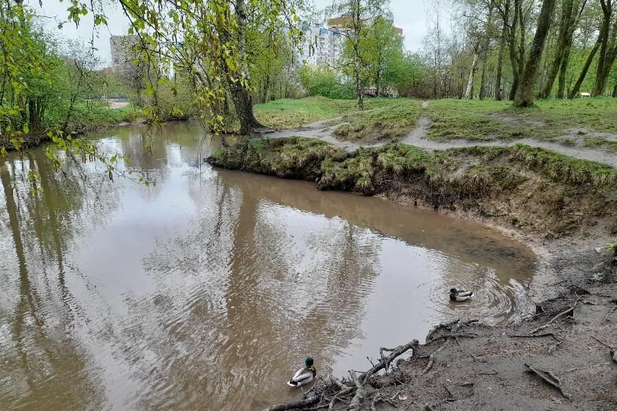 Река оккервиль фото Фотографии Санкт-Петербург: Оккервиль, река, Санкт-Петербург GradPetra. Река О