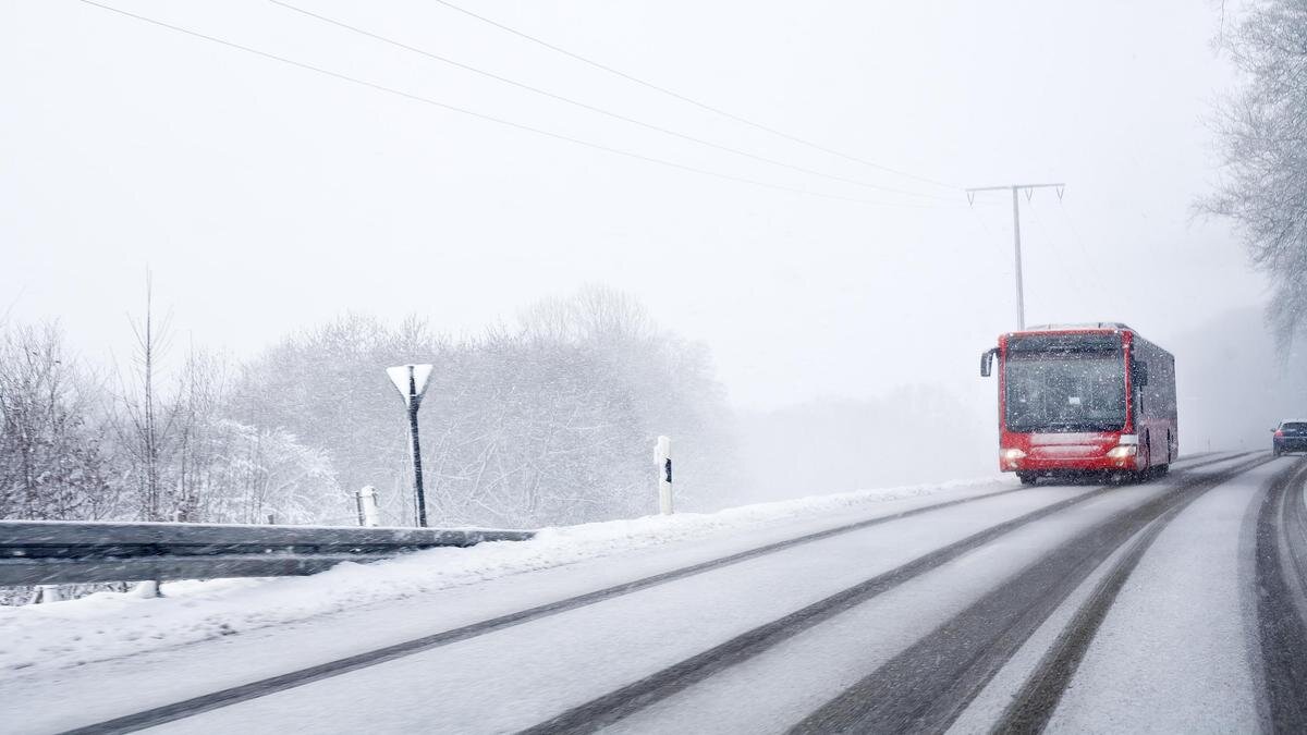    Автобус едет по дороге:Ollo/Getty Images