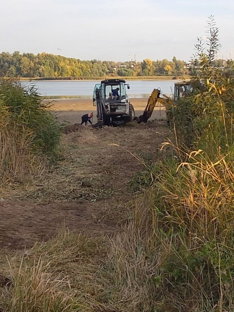 В роще на Гаврилова в Казани вместо парка появится база «ВОСВОД» | Вечерняя  Казань | Дзен