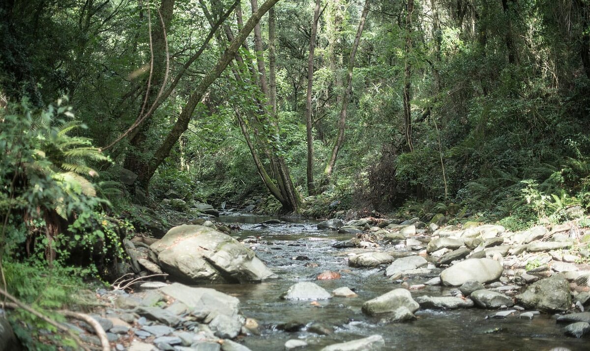Природный парк Монтсень. 