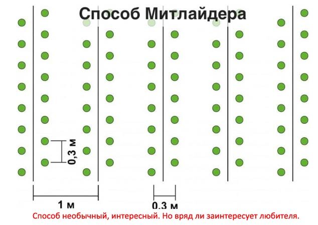 Схема посадки картофеля в коробах