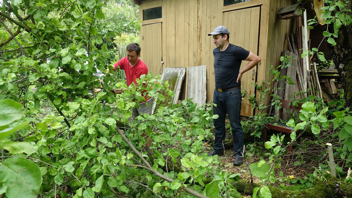 Сперва помочь пилить приезжали друзья с бензопилой, потом мы себе тоже купили пилу