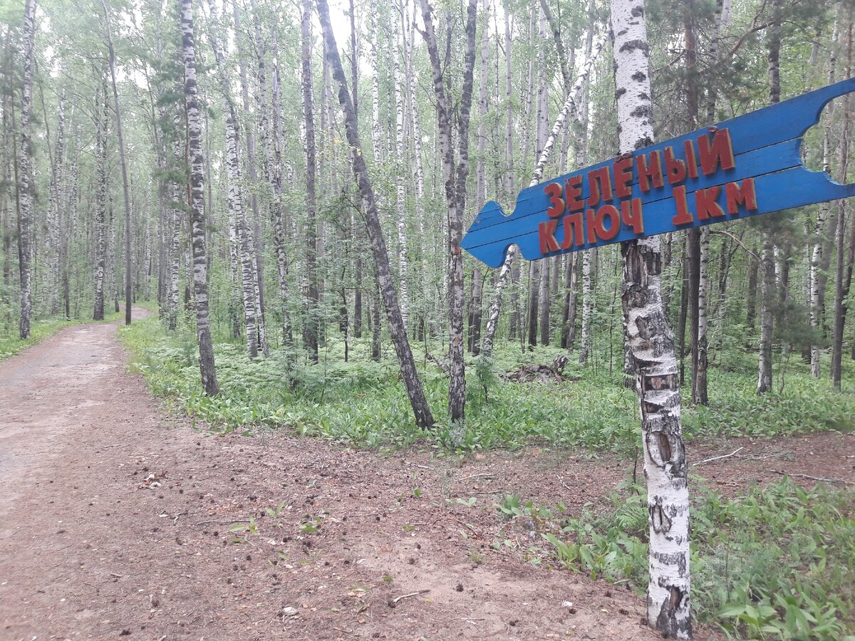 Тропа, ведущая от санатория к источнику, снабжена указателями. Заплутать сложно.