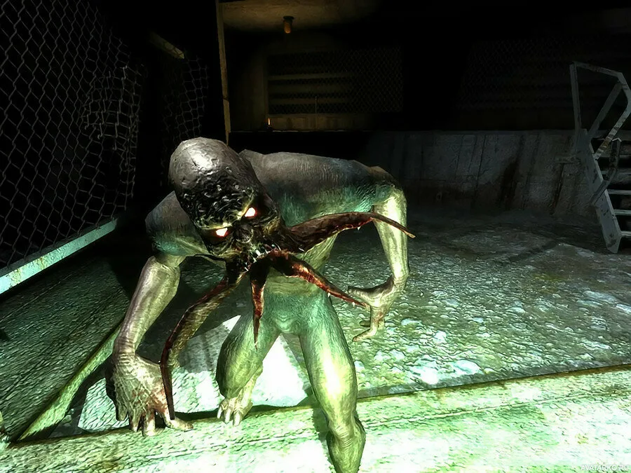 Из раздела картинок