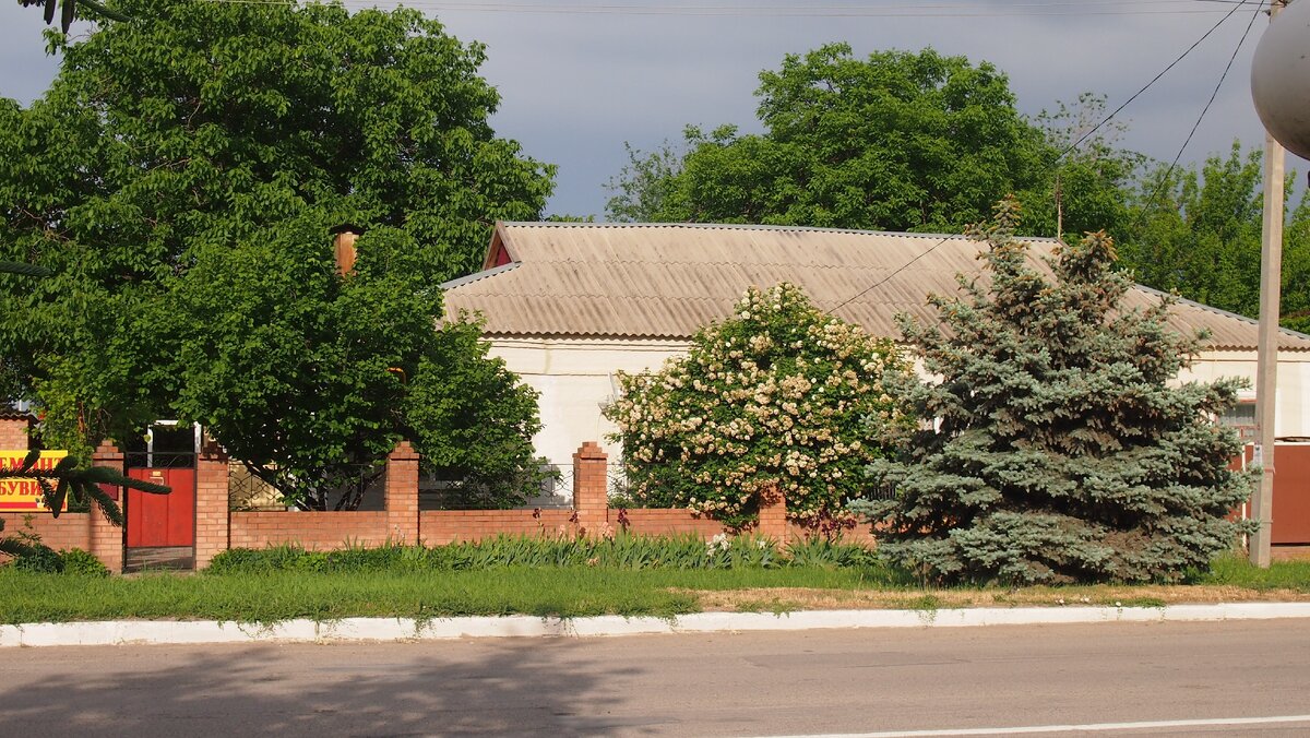 Фото автора