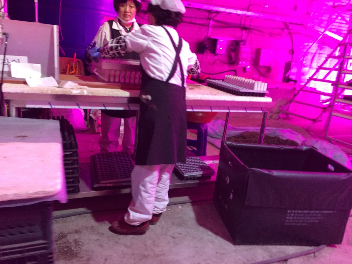 Работа Южная Корея Русские 