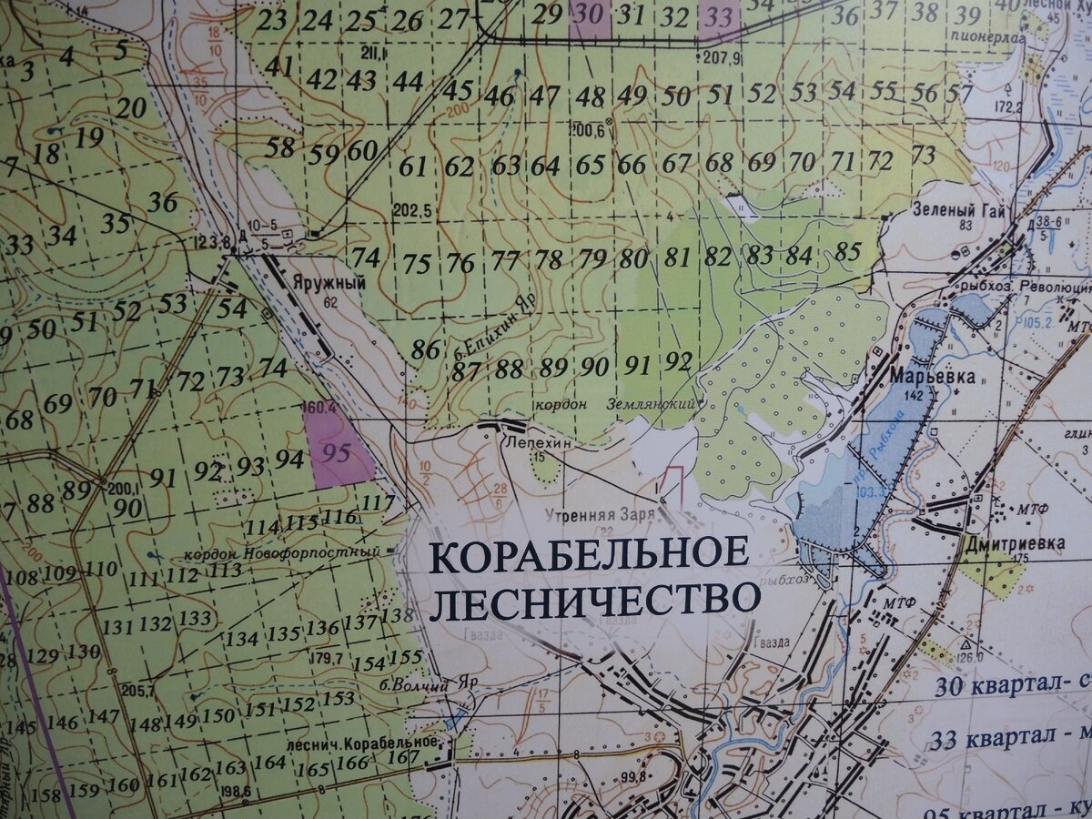 Квартальная карта Шипова леса