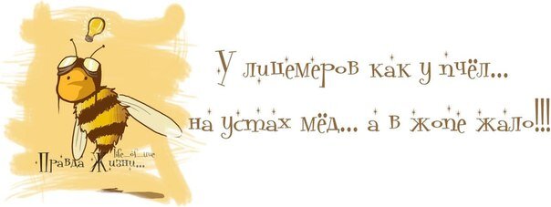 Из открытых источников Yandex