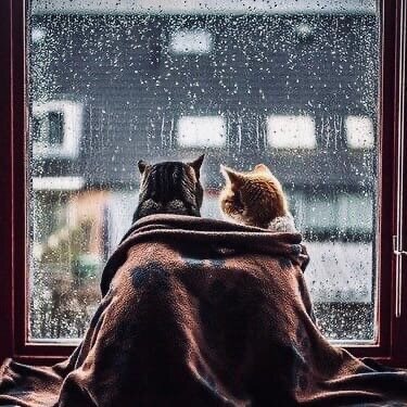 Фото взято из просторов Pinterest