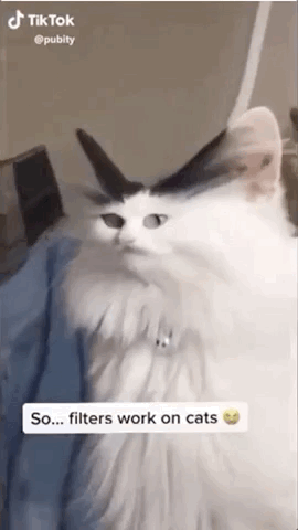 Источник: канал на Youtube Best of TikTok