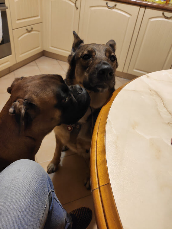 Личный архив