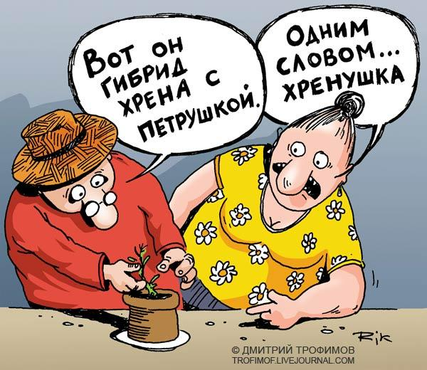карикатура Дмитрия Трофимова