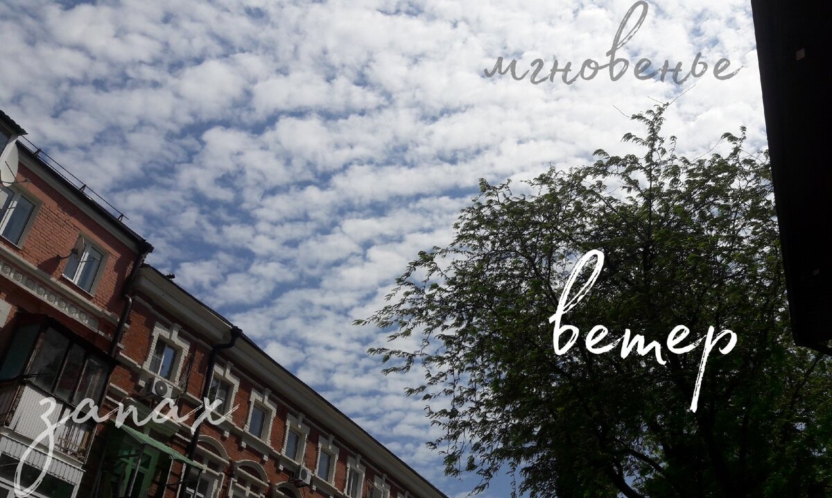 Коллаж Владимира Козлова