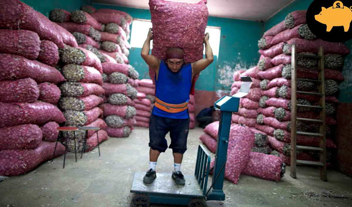 Если вы все-таки мечтаете стать грузчиком - станьте. Но тогда будьте финансово грамотны