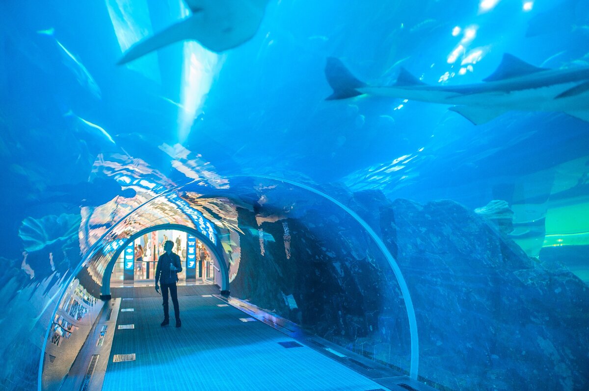 Фото - Touristino.com