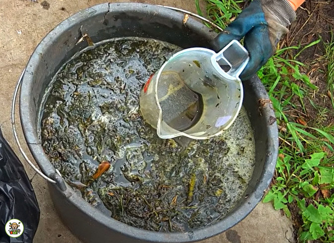 Настой удобрения на травяном чае
