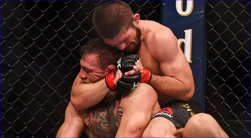 Момент триумфа Хабиба Нурмагомедова 
Источник: https://fighttime.ru