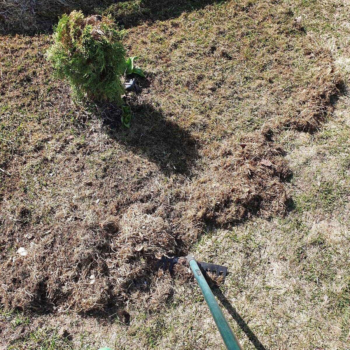 как удалить траву в pubg фото 104