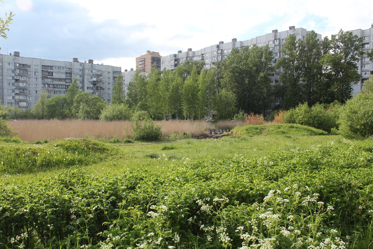 "Лунный серп" на Пулковском шоссе 