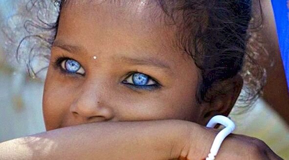 Дети индиго
