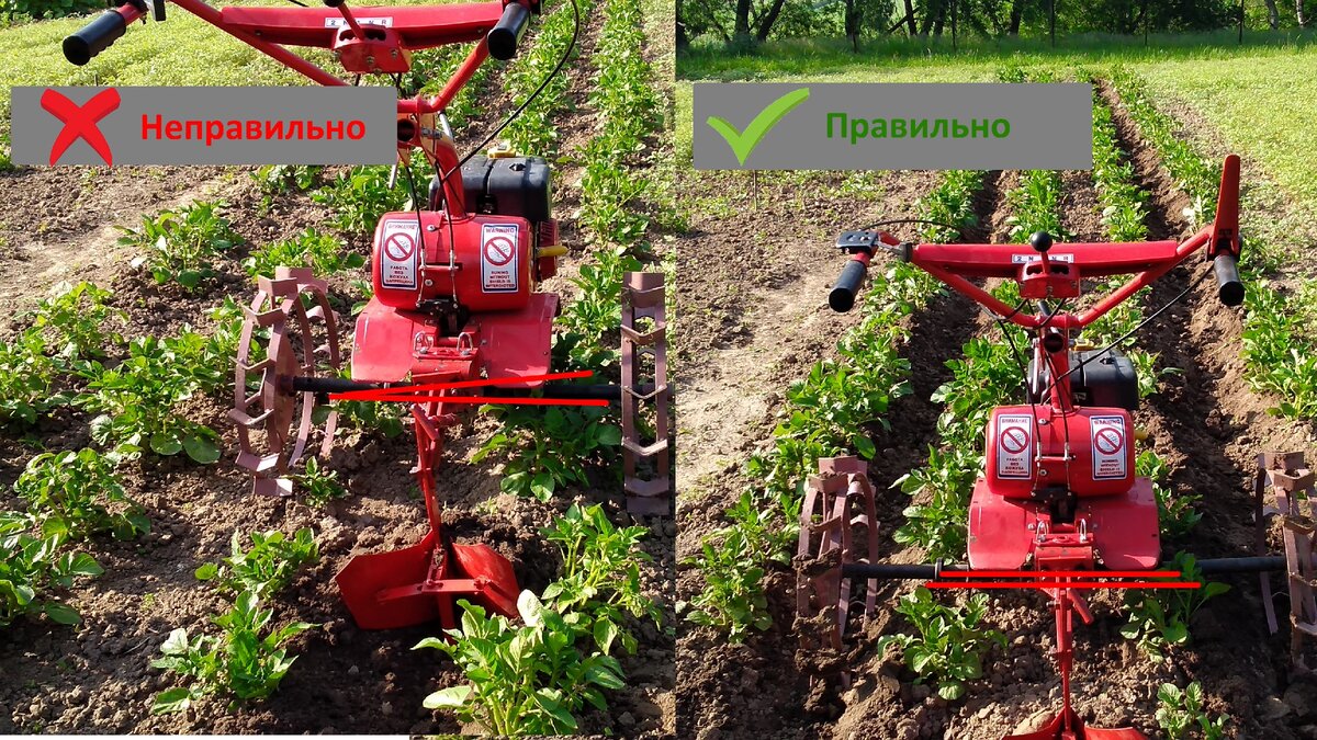 Культивация (окучивание) картофеля. Настройка агрегатов. | Мысли Палыча |  Дзен