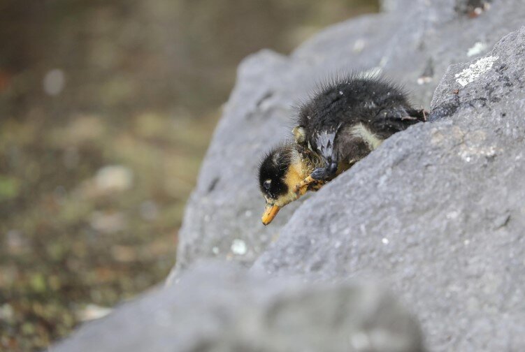 Фото: Global Look Press