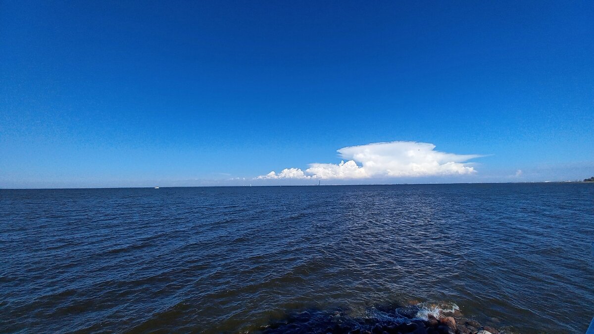Финский залив. Фото автора.