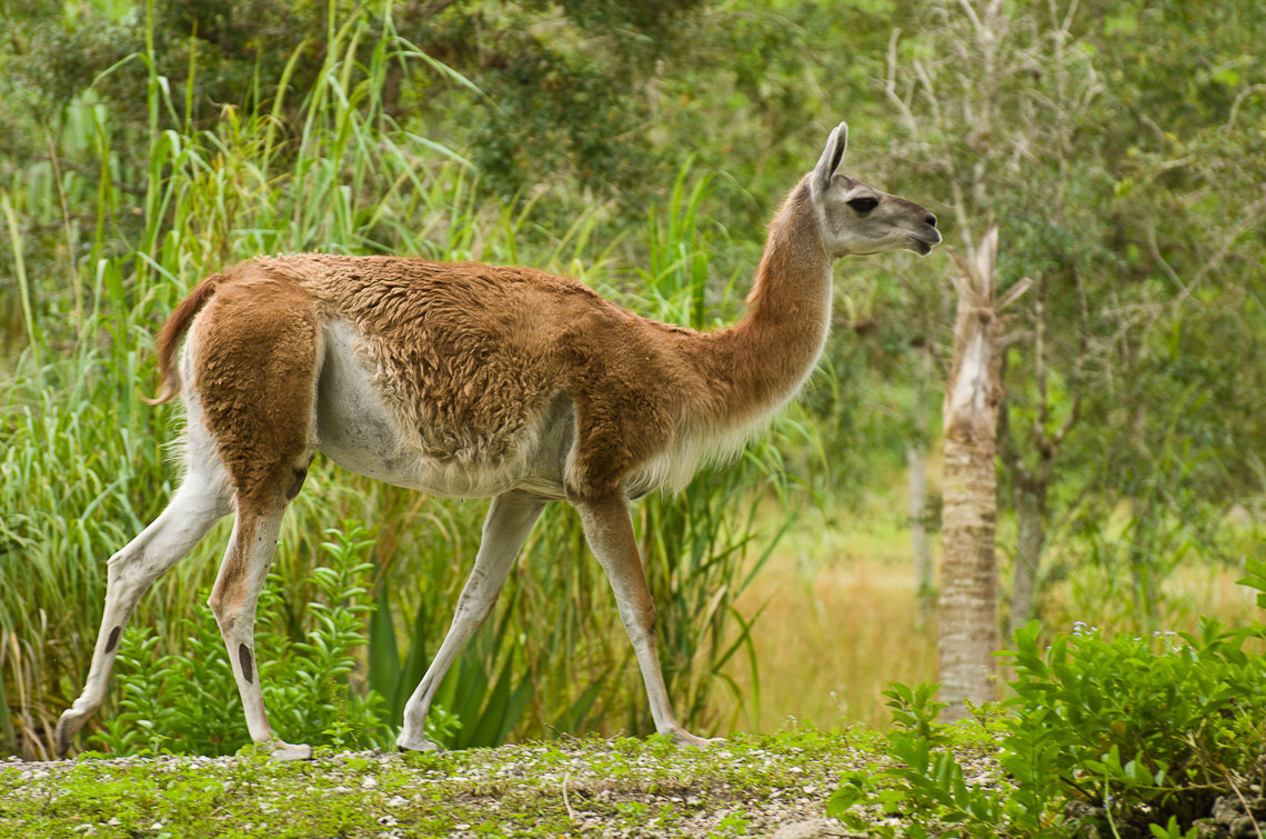 Из открытых источников