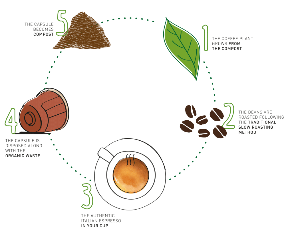 Coffee cycle. Photo credit by Caffe Vergnano