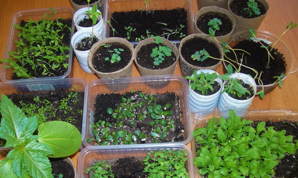 Подписывайтесь на канал - так вы поддержите его и не пропустите новые статьи! Комментарии приветствуются!