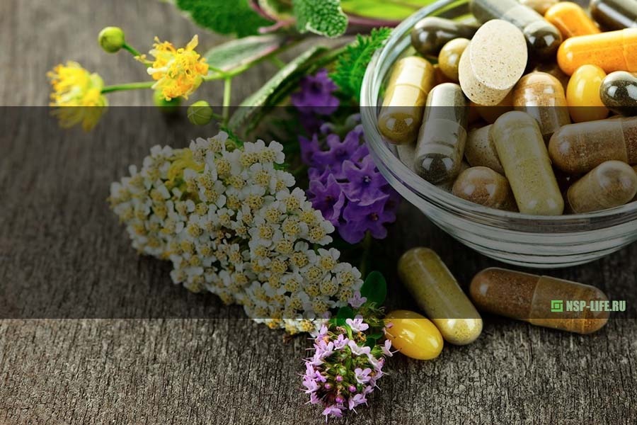 фото из интернета