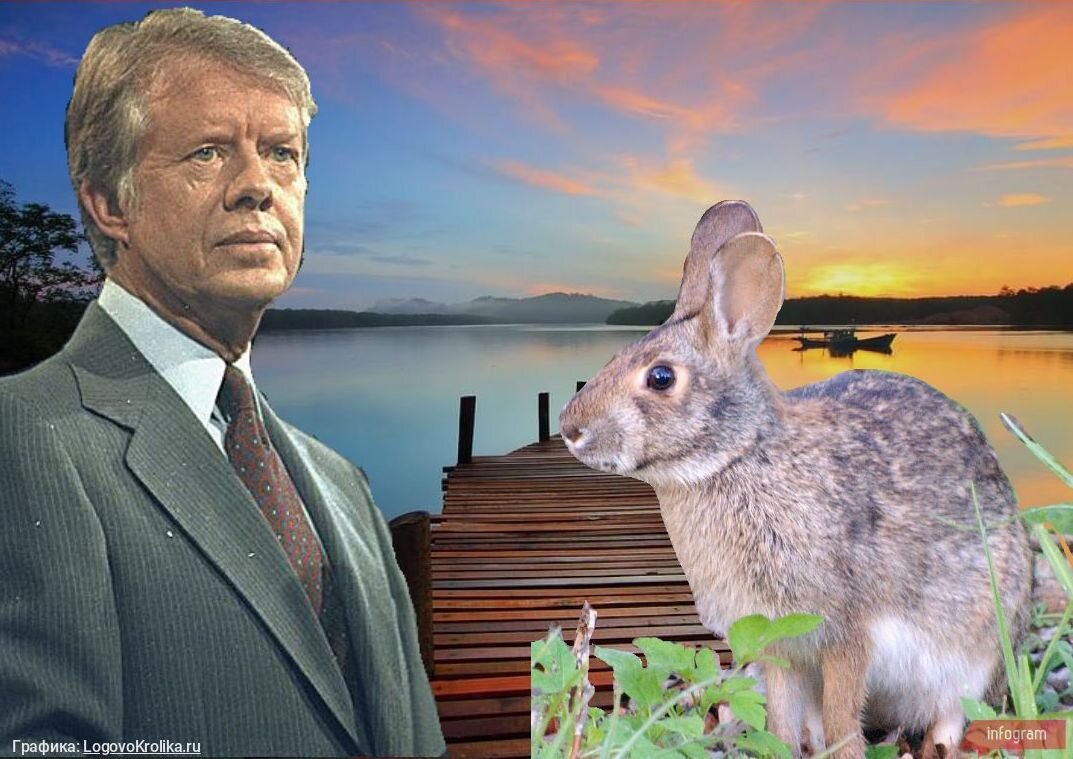 Логово кролика