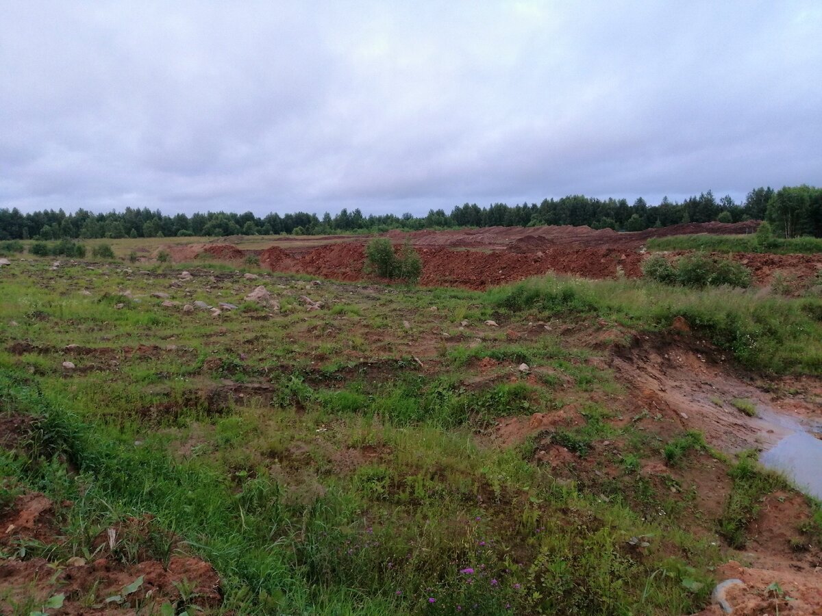 Красота, каждый день бы любовался. 