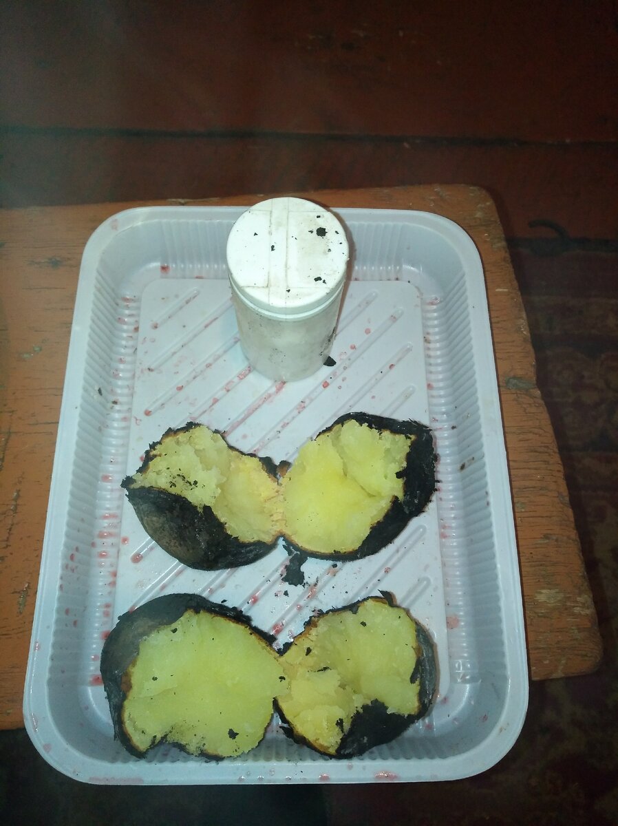 И пусть Земля остановится...