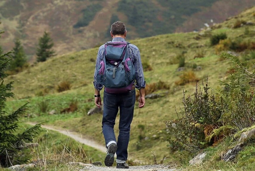 Фото: pixabay.com