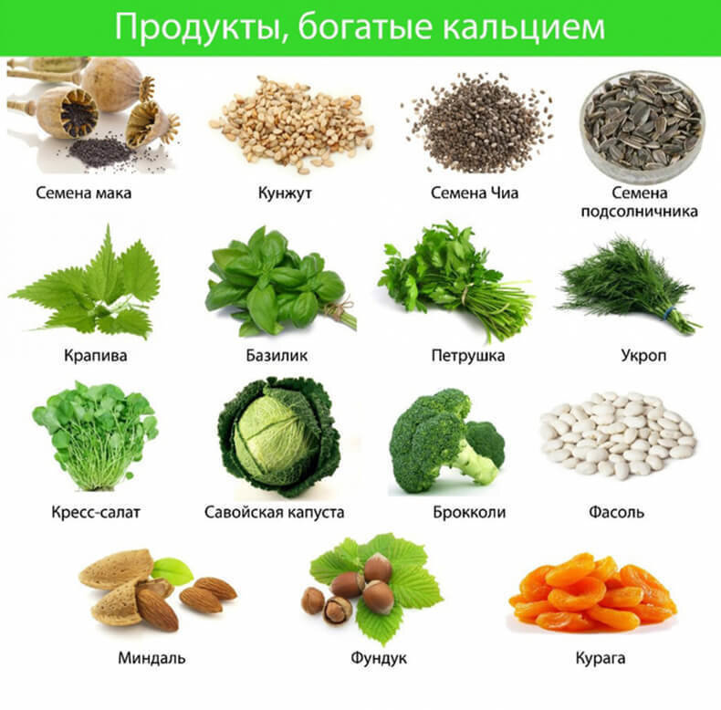 Полезные продукты для костей (источник фото: google.com )