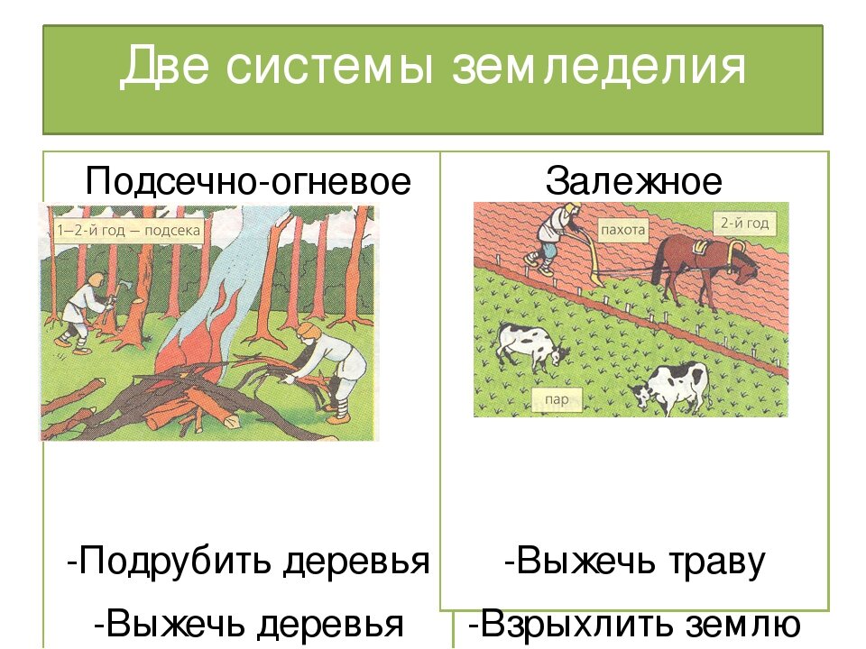 Несколько основных систем. Подсечное земледелие восточных славян. Подсечно огневое земледелие у славян. Переложно залежная система земледелия. Переложная система земледелия у славян.