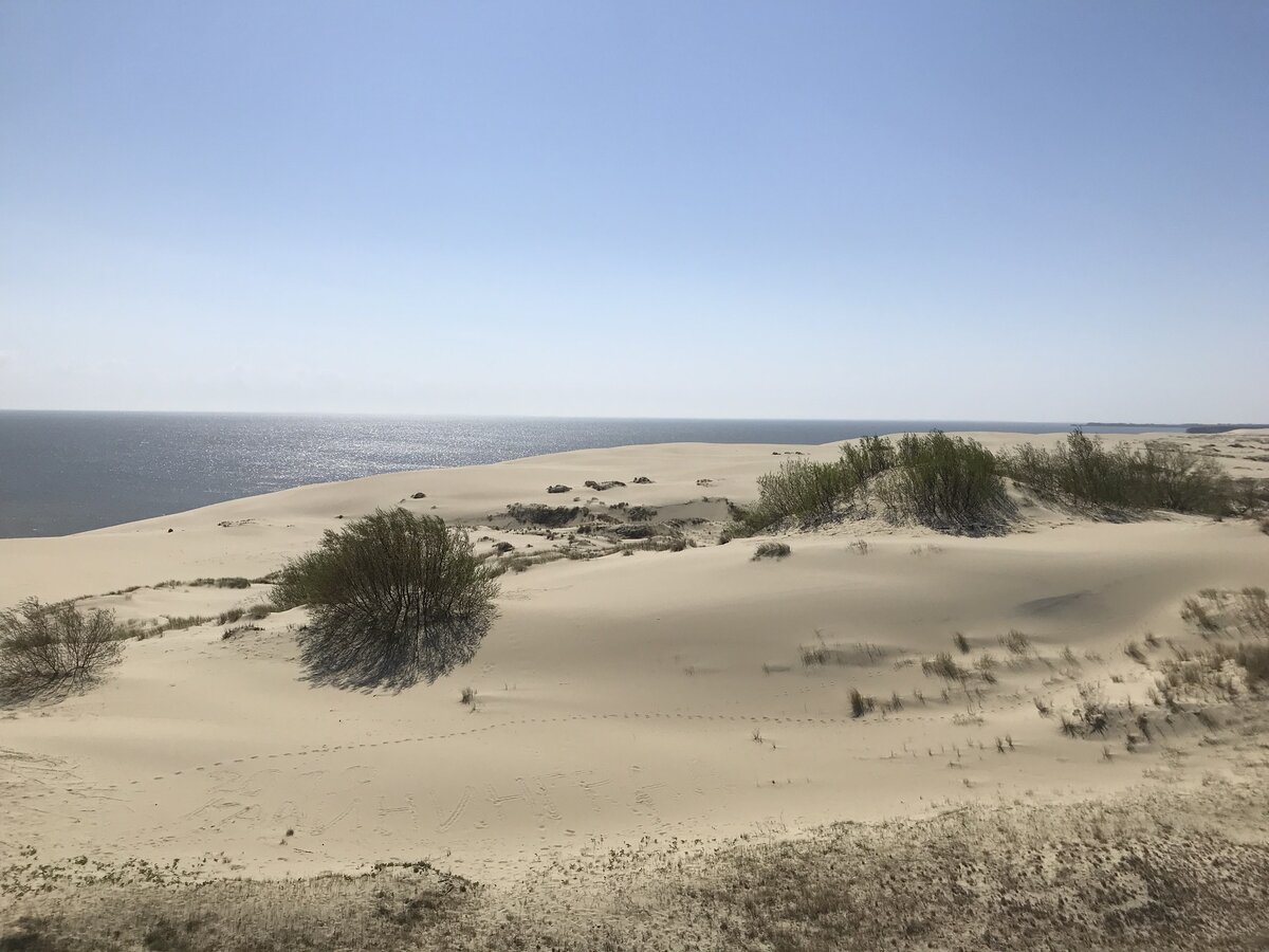 Пляж дюны