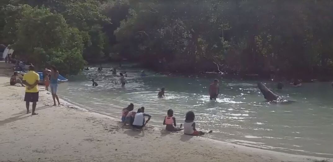 Вокруг соленый океан, а им так нравится река с пресной водой!