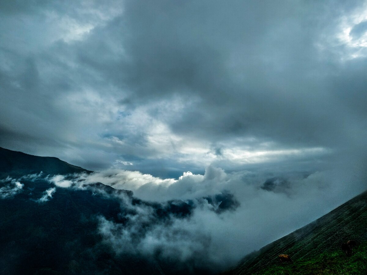 утопание 2020 